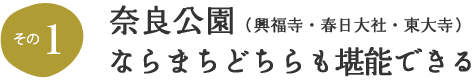 その1 奈良公園・ならまちどちらも堪能できる